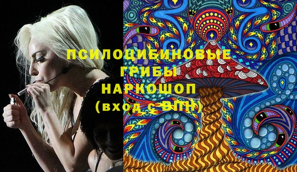mdpv Надым