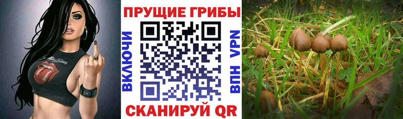 Галлюциногенные грибы Magic Shrooms дарнет шоп Игра